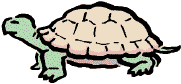schildpad